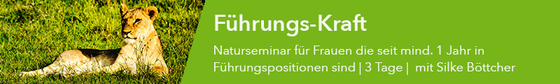 Führungs-Kraft - Die Königin in der Führungsrolle Naturseminar für Frauen in Führungspositionen