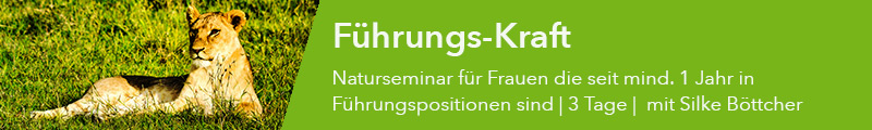 Naturseminar für Frauen in Führungspositionen