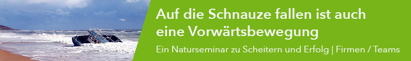 Naturseminar zu Scheitern und Erfolg Naturseminar zu Scheitern und Erfolg